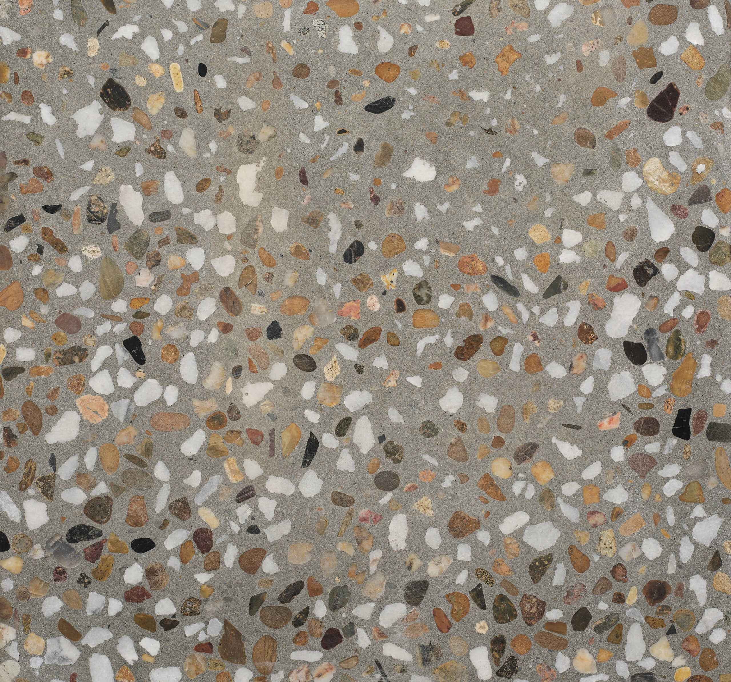 Coral Polished/Honed